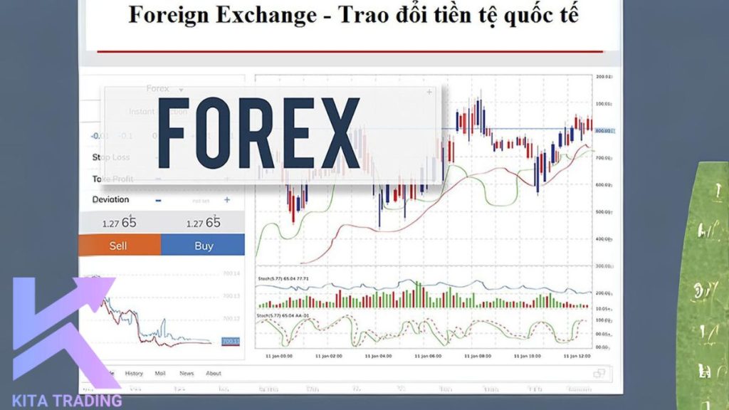 forex là nơi trao đổi tiền tệ quốc tế